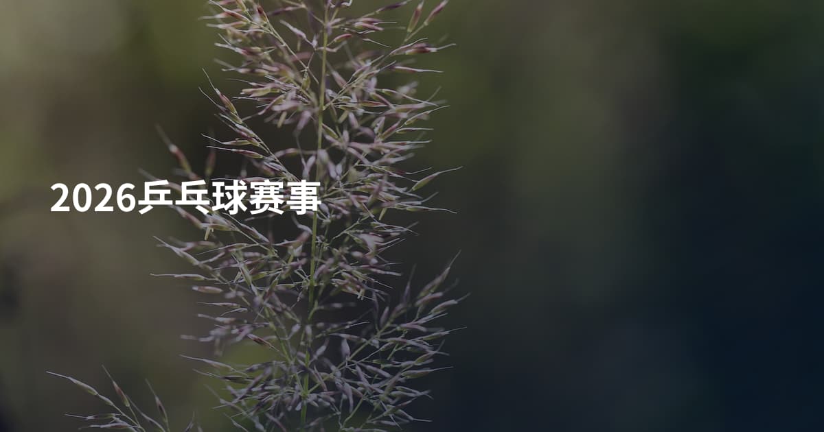 2026乒乓球赛事