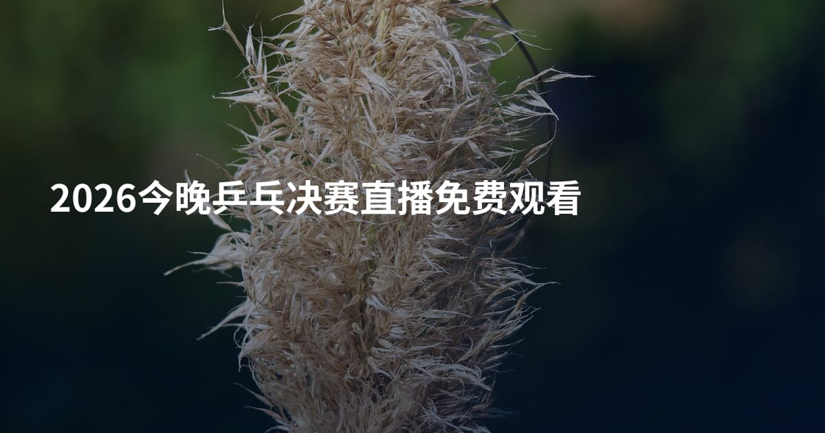2026今晚乒乓决赛直播免费观看