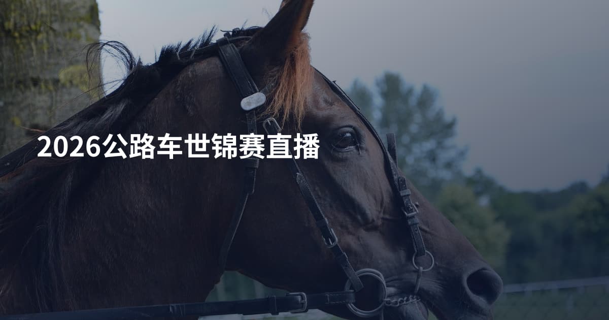 2026公路车世锦赛直播