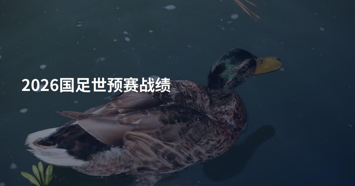 2026国足世预赛战绩