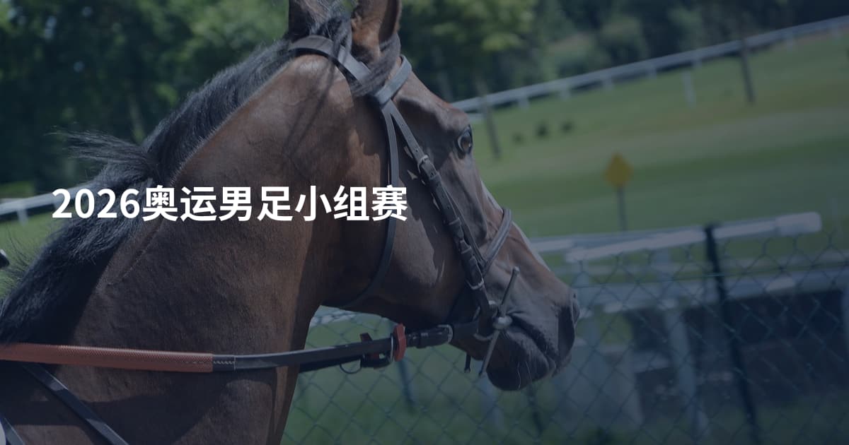 2026奥运男足小组赛