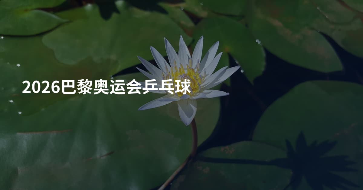 2026巴黎奥运会乒乓球
