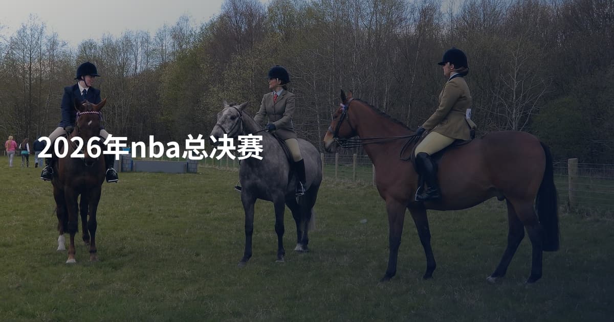 2026年nba总决赛