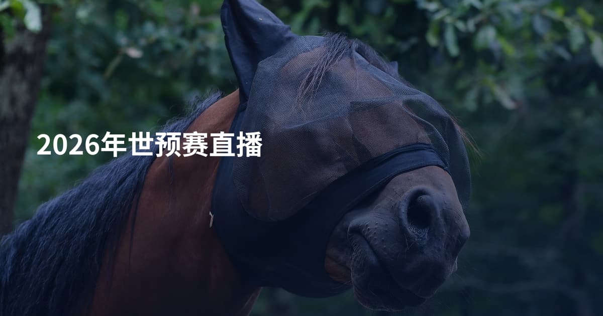2026年世预赛直播