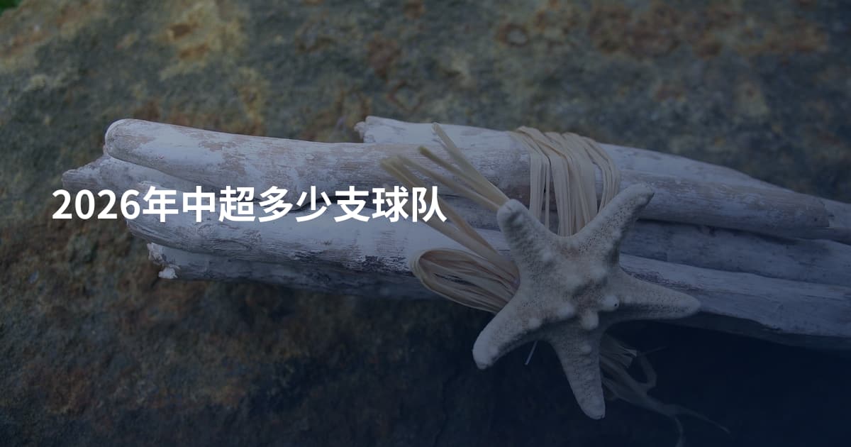 2026年中超多少支球队