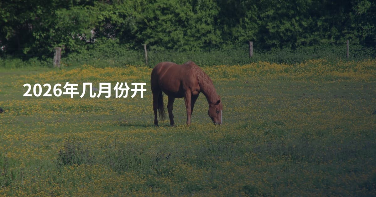2026年几月份开