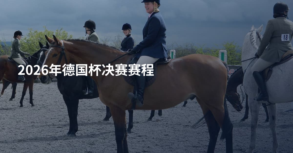 2026年德国杯决赛赛程