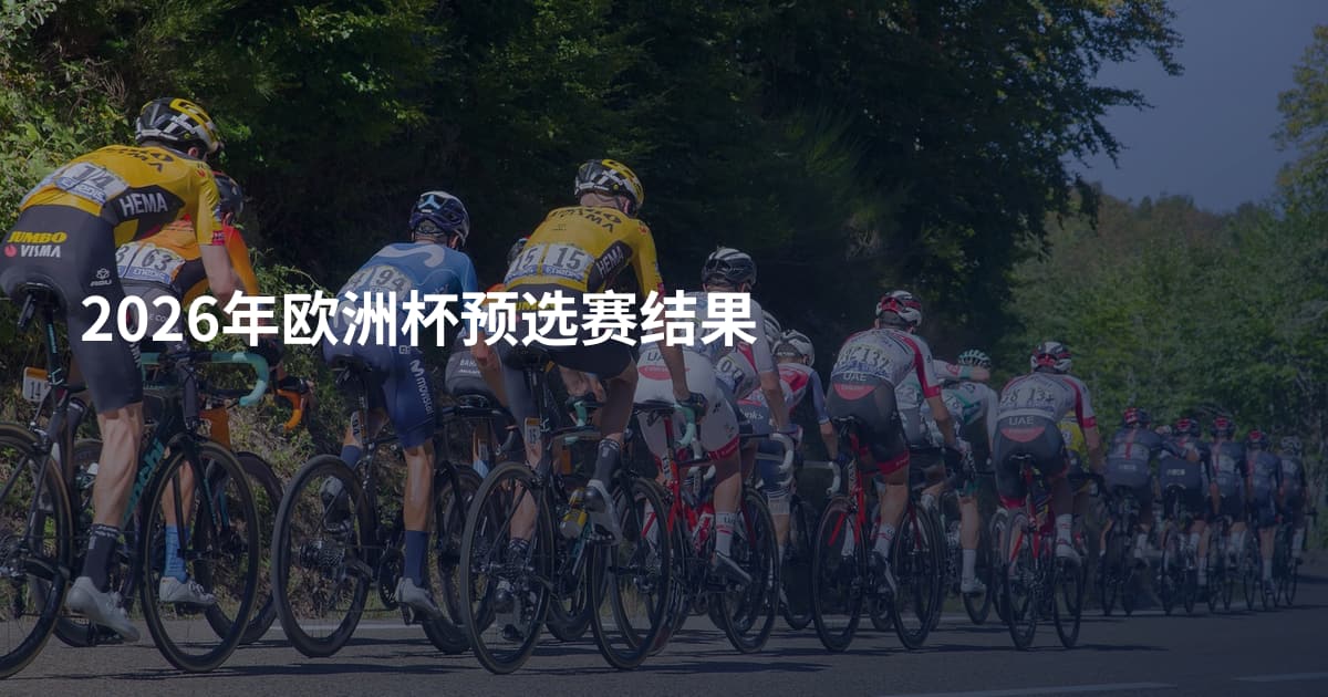 2026年欧洲杯预选赛结果