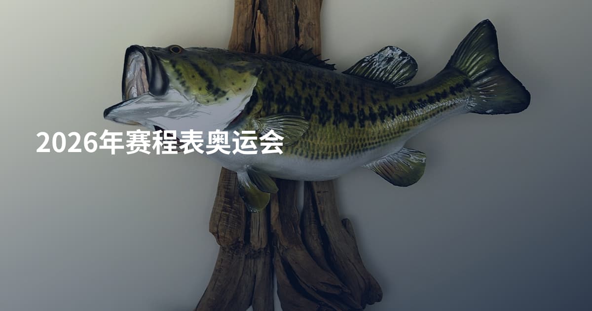 2026年赛程表奥运会