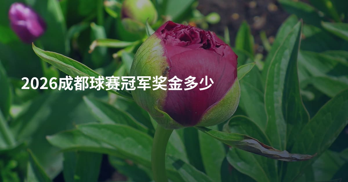 2026成都球赛冠军奖金多少