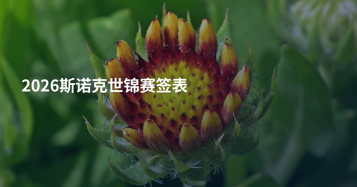 2026斯诺克世锦赛签表