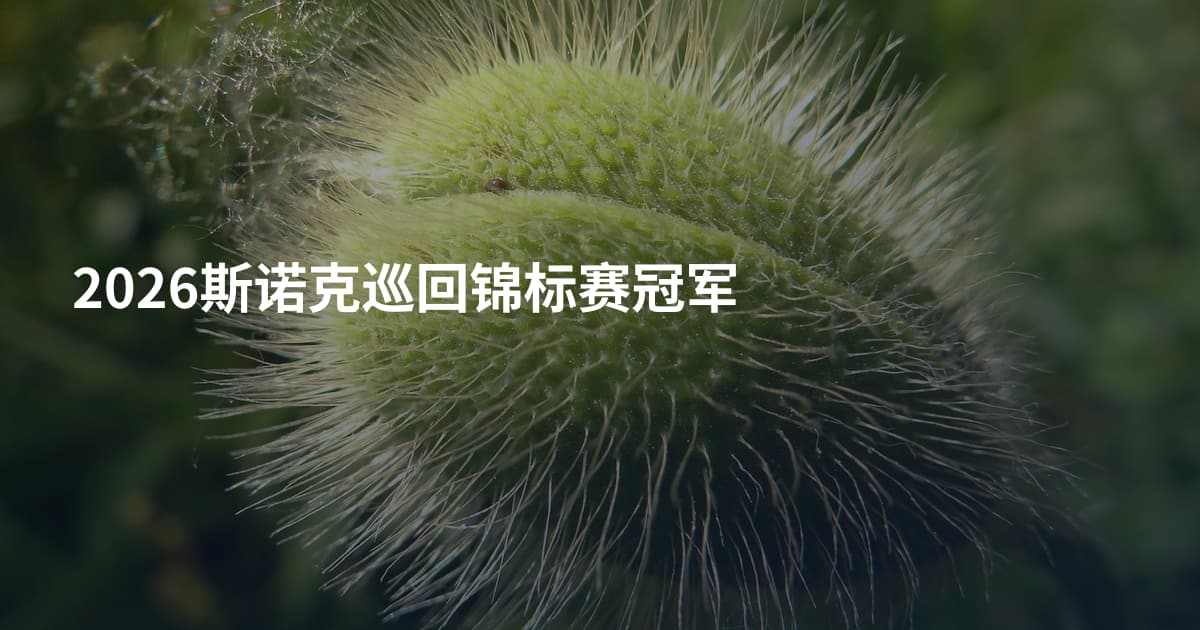 2026斯诺克巡回锦标赛冠军