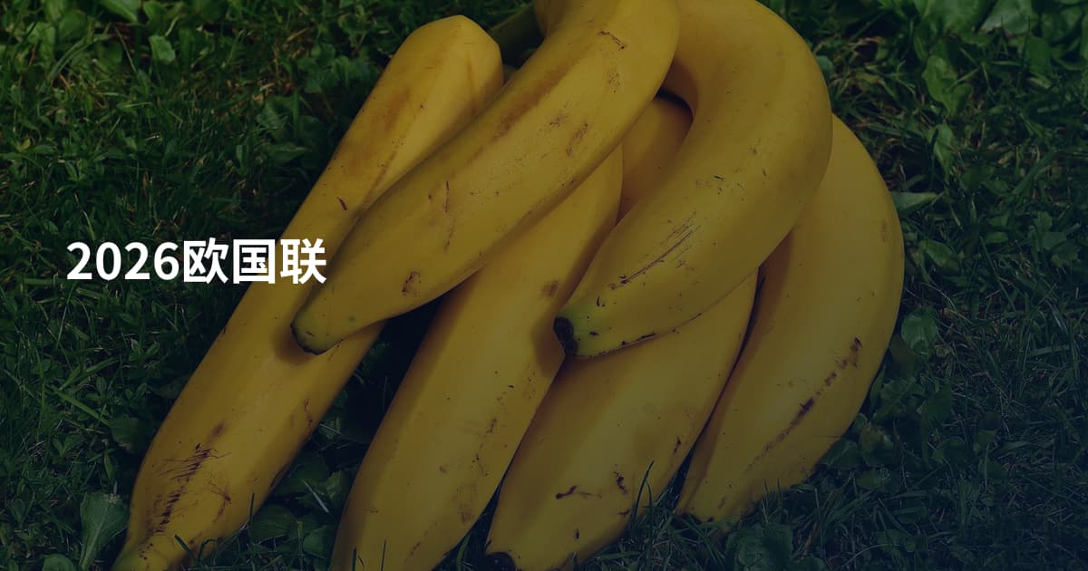 2026欧国联