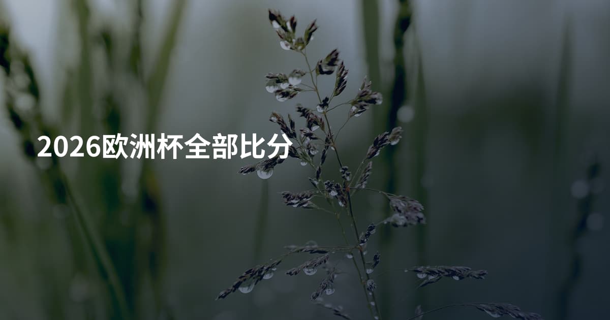 2026欧洲杯全部比分