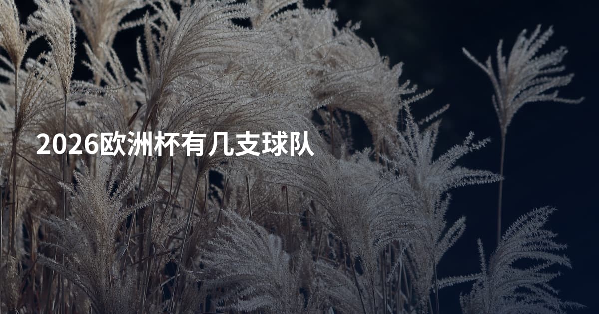 2026欧洲杯有几支球队