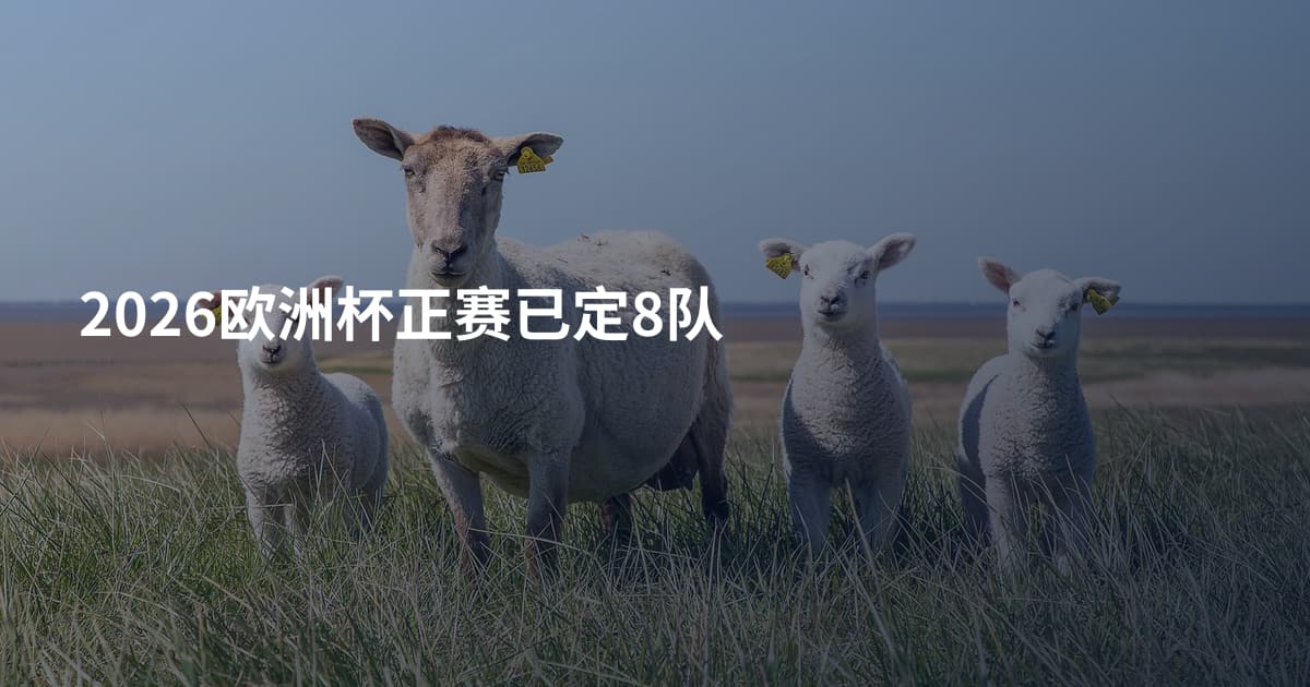 2026欧洲杯正赛已定8队