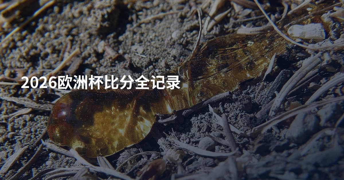 2026欧洲杯比分全记录