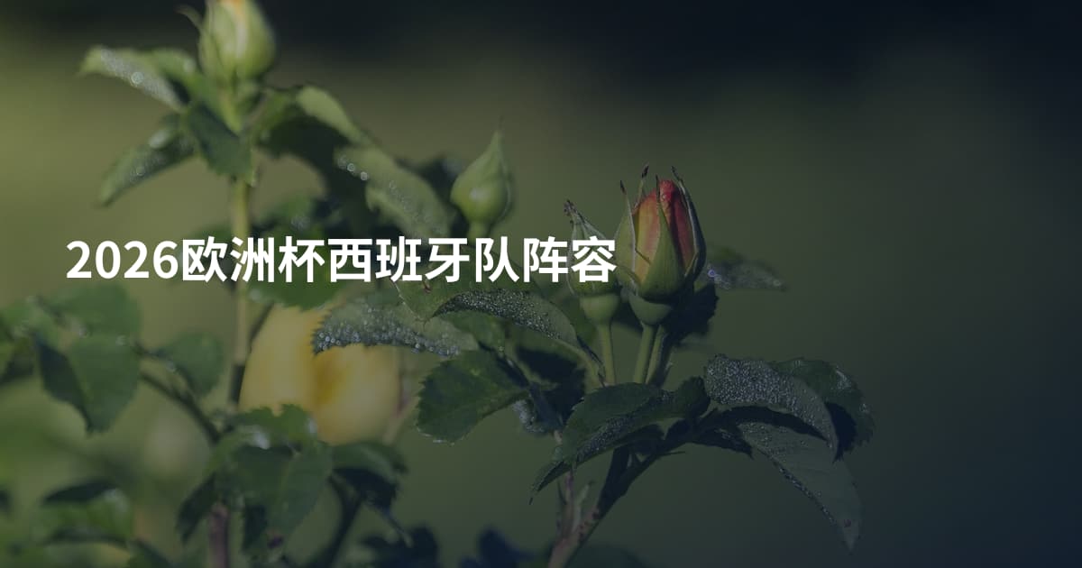 2026欧洲杯西班牙队阵容