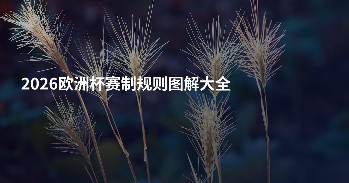 2026欧洲杯赛制规则图解大全
