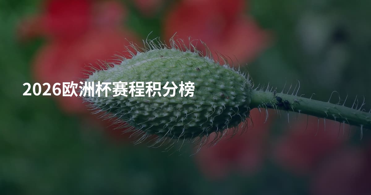 2026欧洲杯赛程积分榜