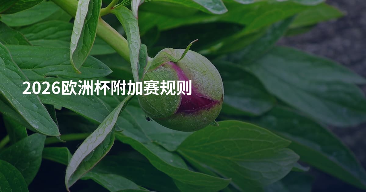2026欧洲杯附加赛规则