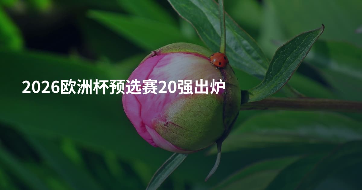 2026欧洲杯预选赛20强出炉