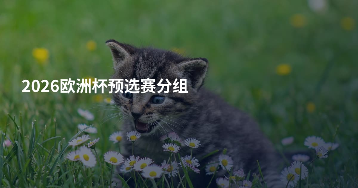 2026欧洲杯预选赛分组