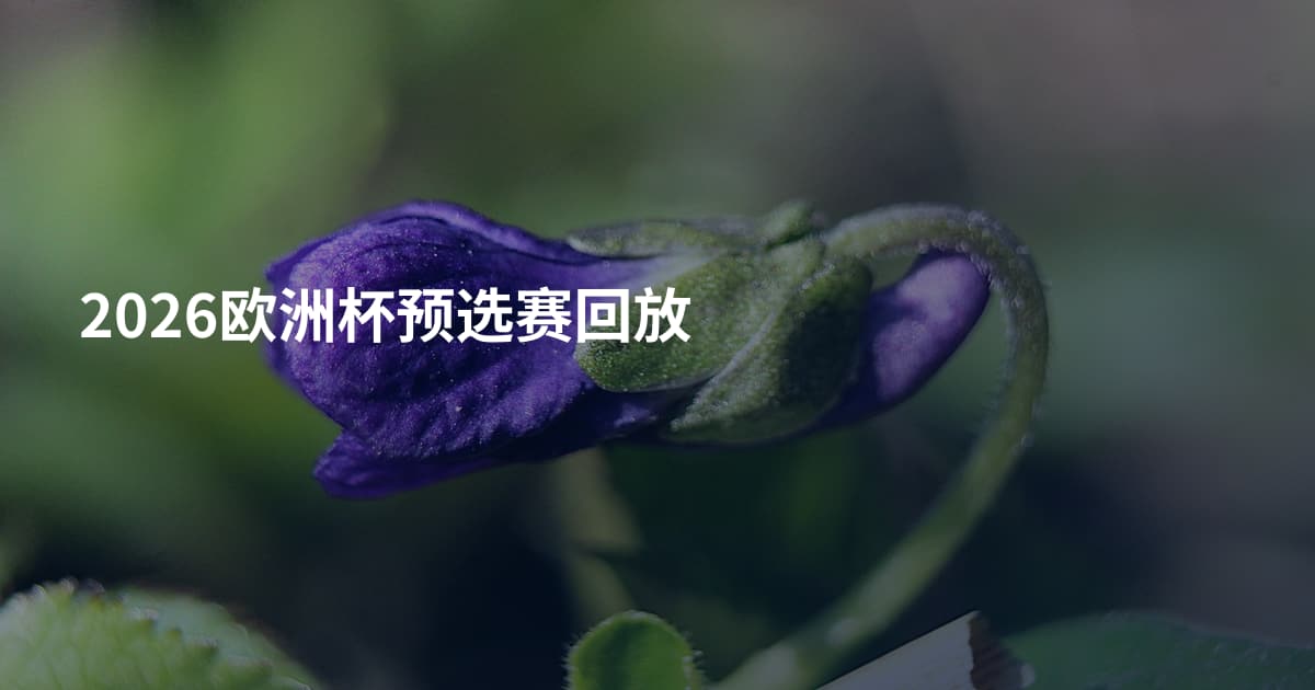 2026欧洲杯预选赛回放