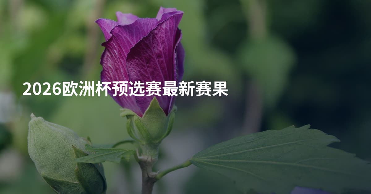 2026欧洲杯预选赛最新赛果