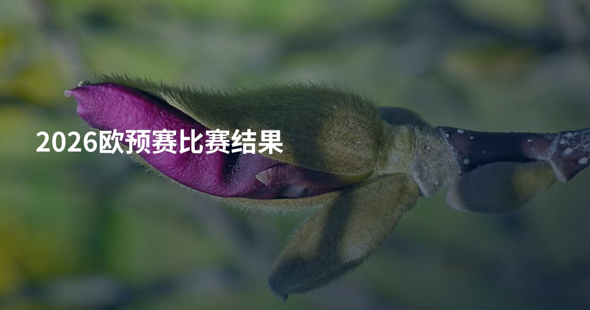 2026欧预赛比赛结果