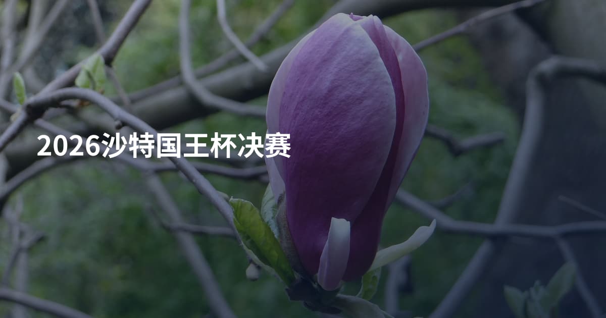 2026沙特国王杯决赛