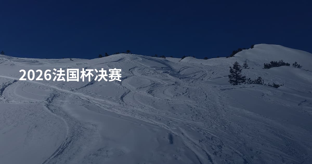 2026法国杯决赛