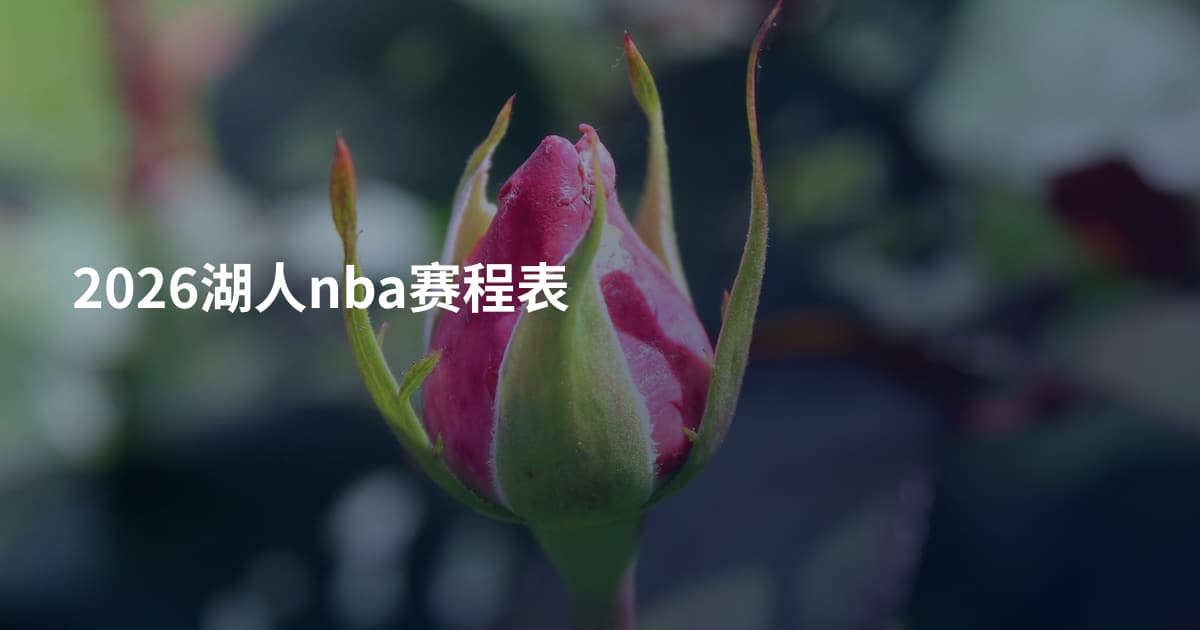 2026湖人nba赛程表