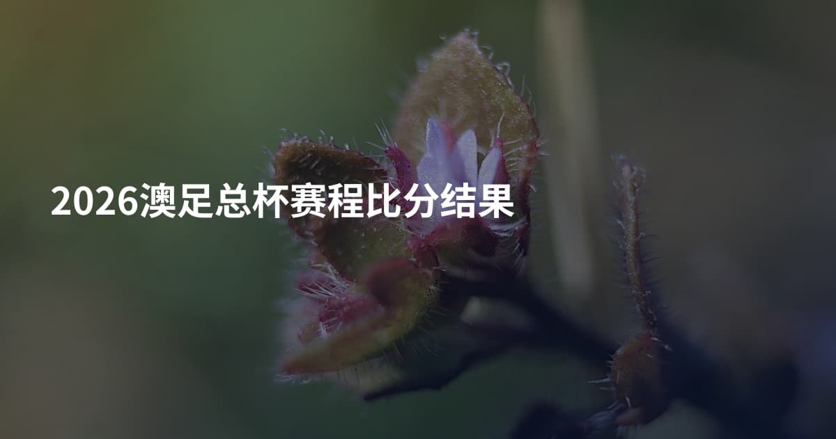 2026澳足总杯赛程比分结果