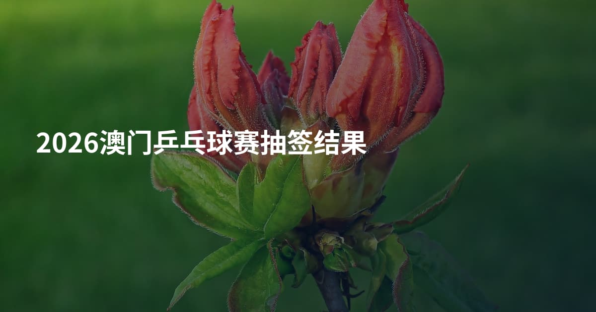 2026澳门乒乓球赛抽签结果