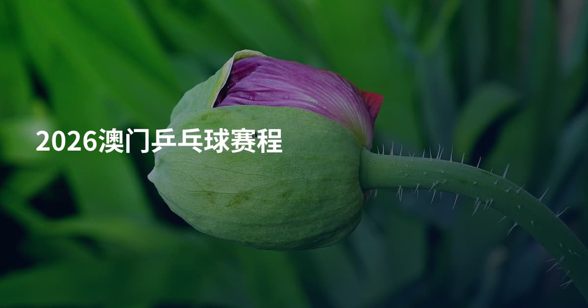 2026澳门乒乓球赛程