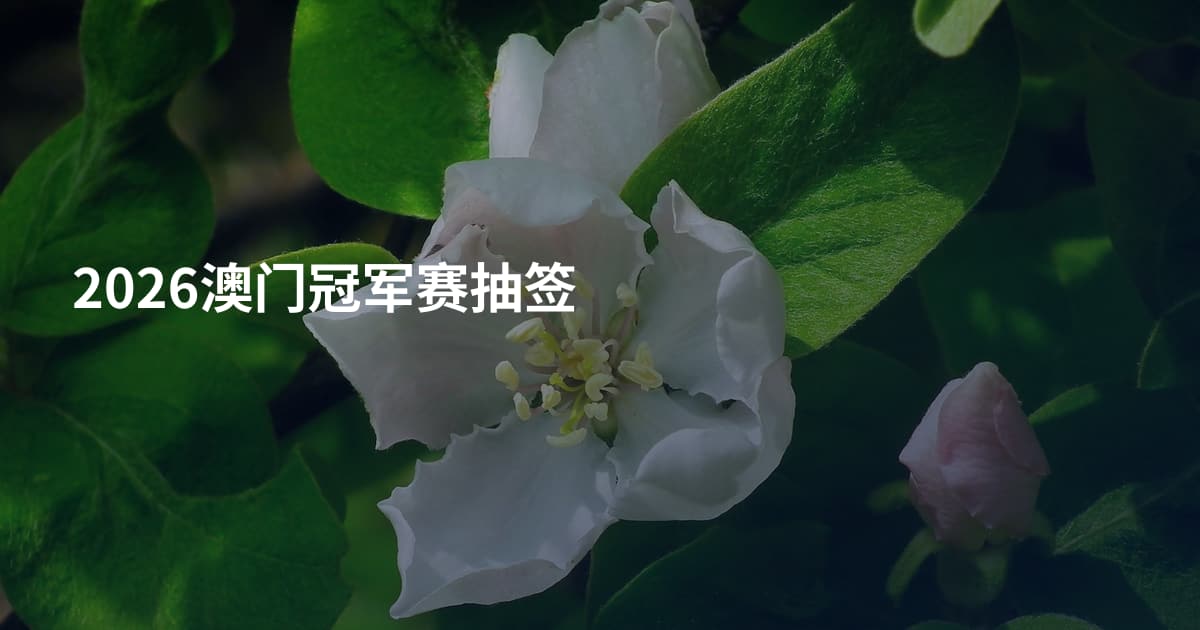 2026澳门冠军赛抽签