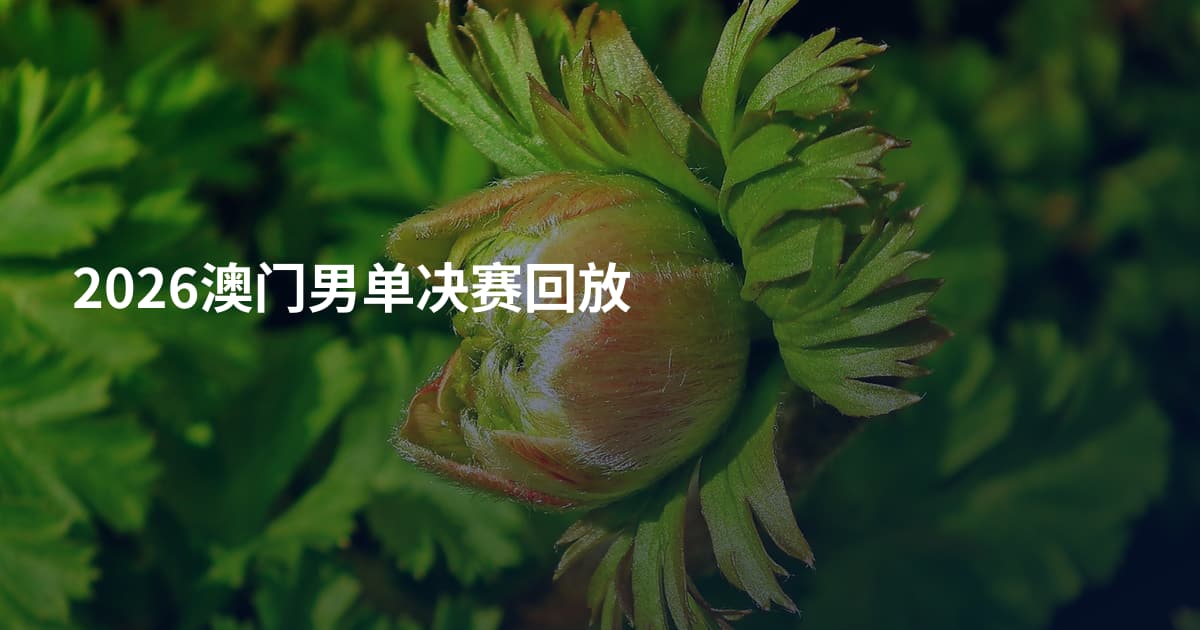 2026澳门男单决赛回放