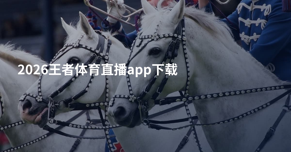 2026王者体育直播app下载
