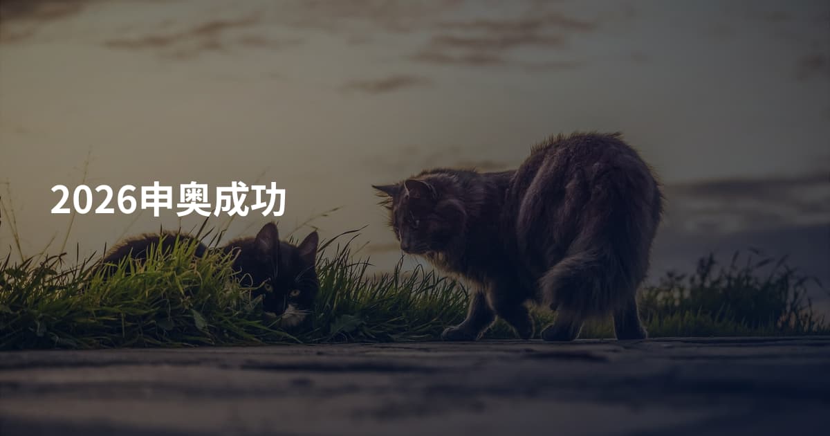 2026申奥成功