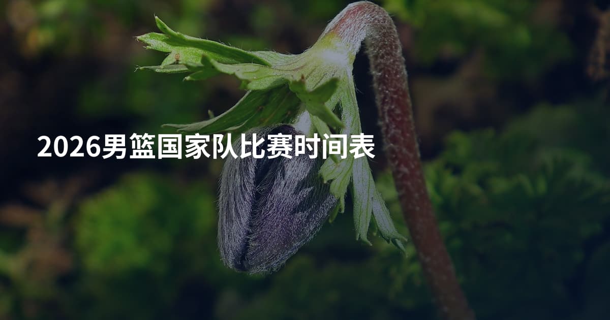 2026男篮国家队比赛时间表