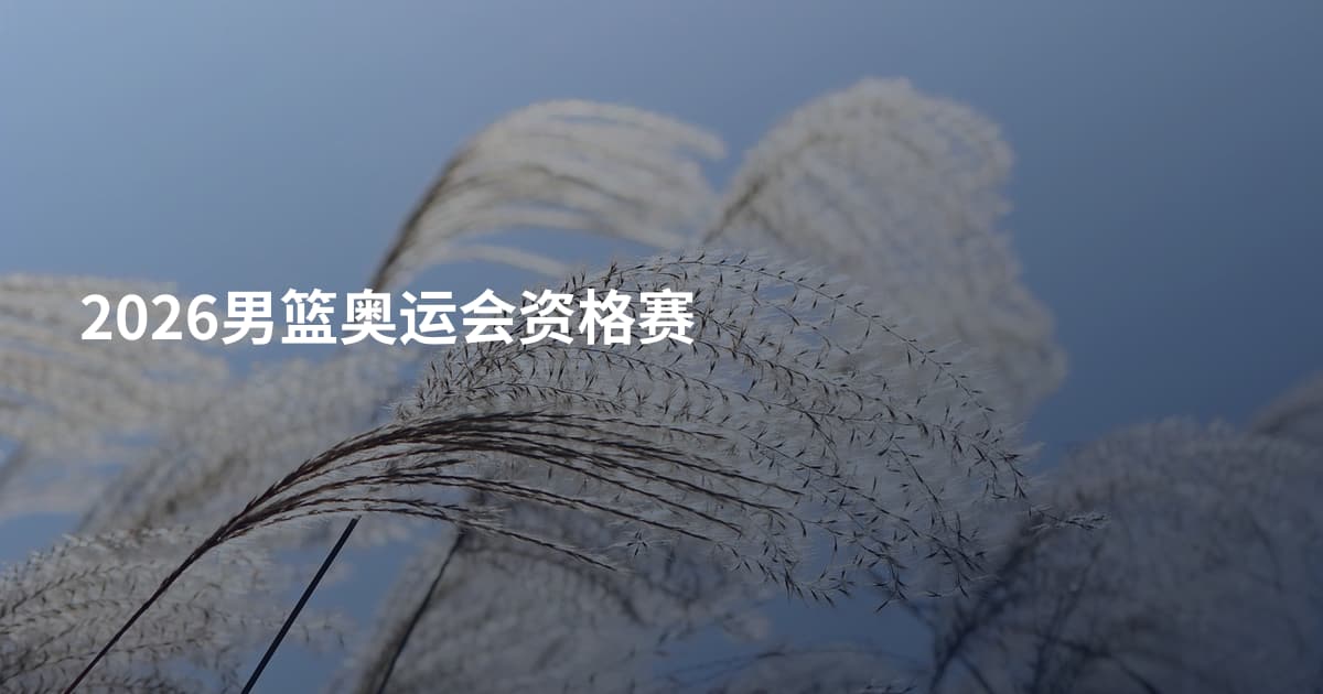 2026男篮奥运会资格赛