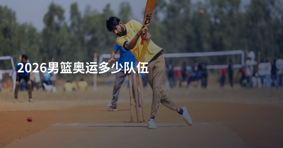 2026男篮奥运多少队伍