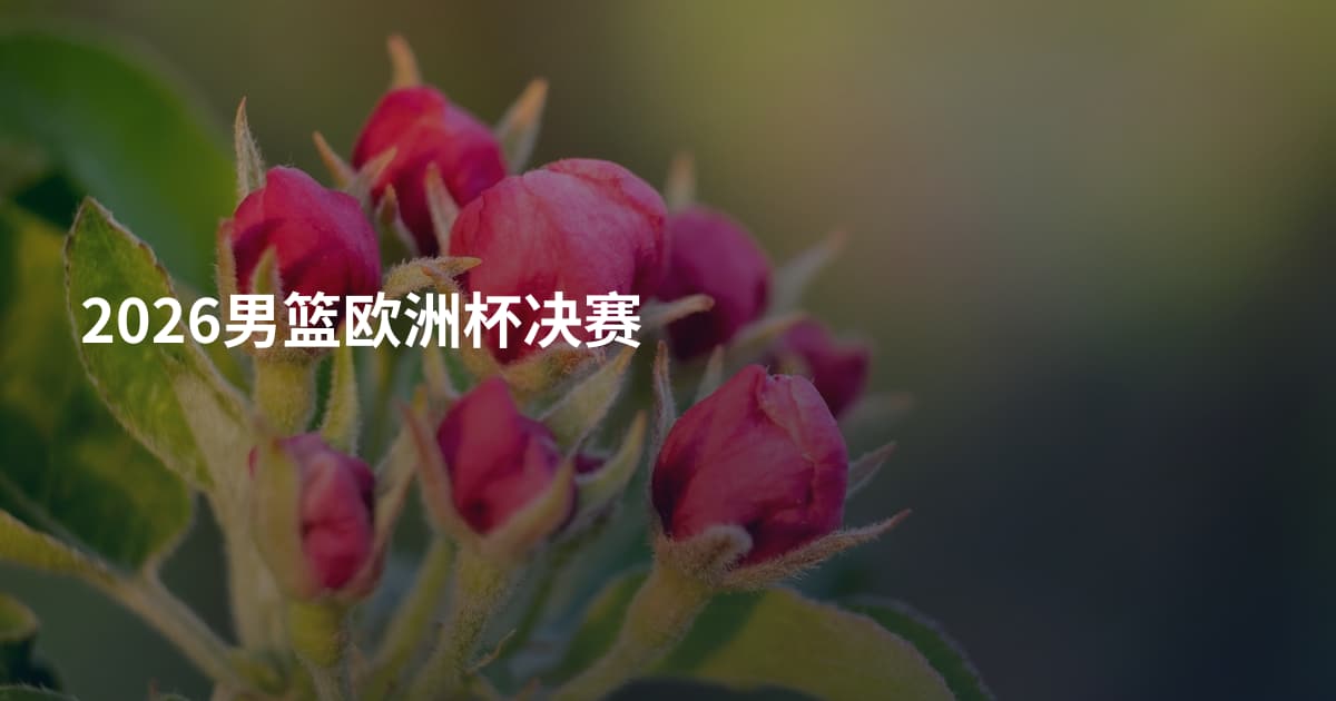 2026男篮欧洲杯决赛