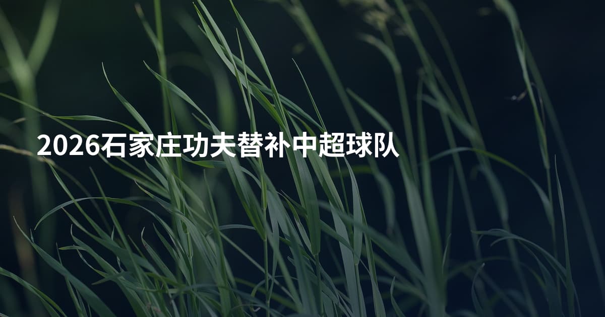 2026石家庄功夫替补中超球队