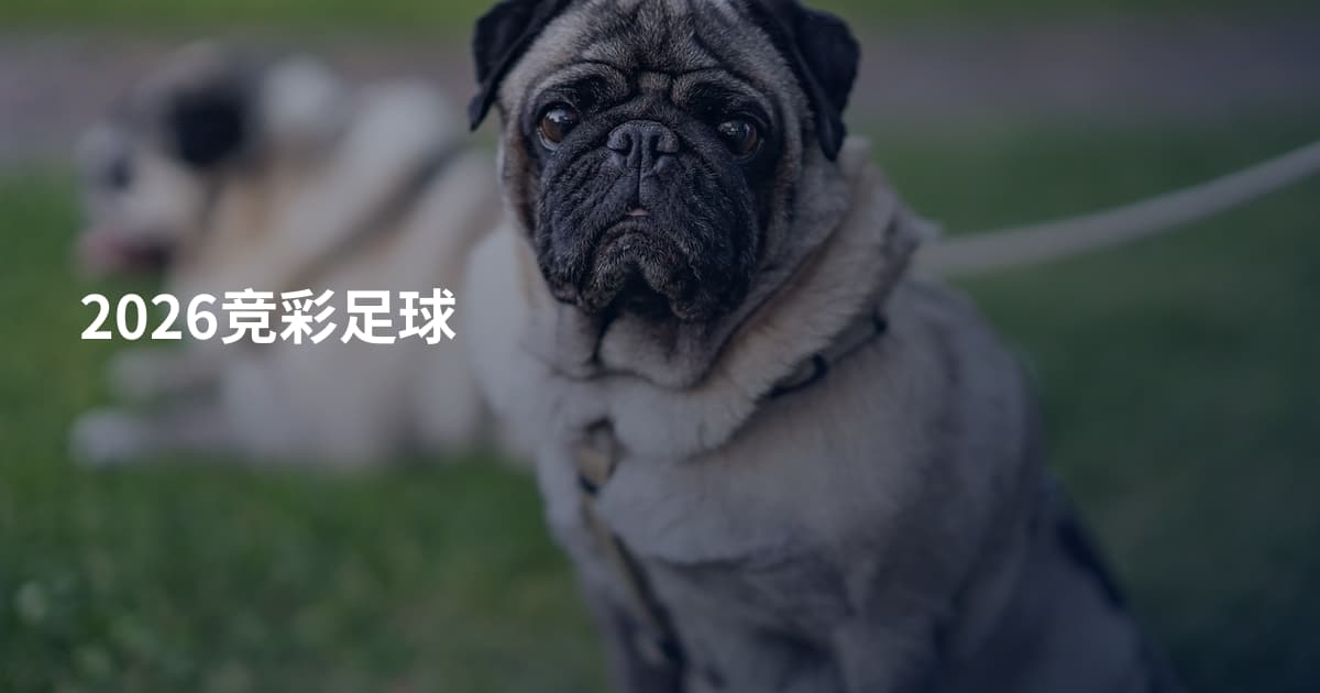 2026竞彩足球