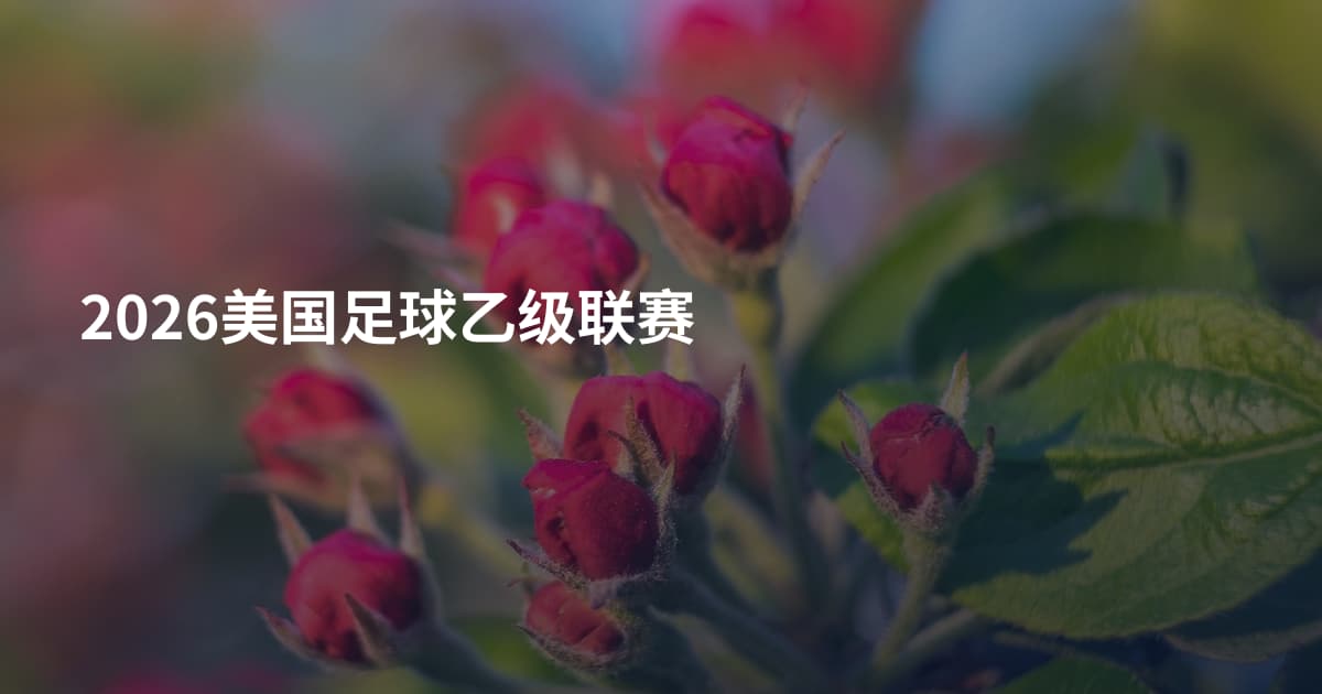 2026美国足球乙级联赛