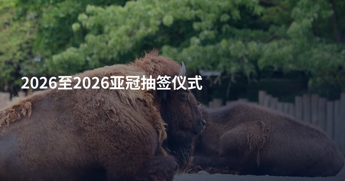 2026至2026亚冠抽签仪式