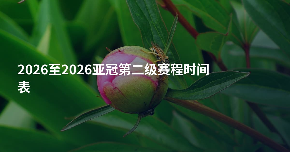 2026至2026亚冠第二级赛程时间表