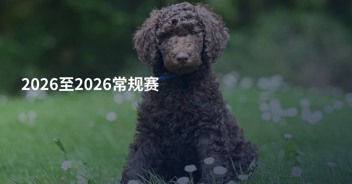 2026至2026常规赛